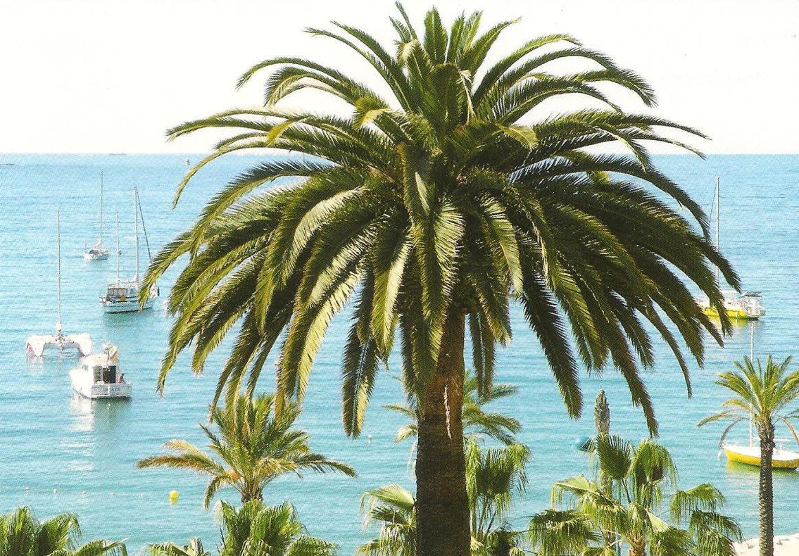 Studio Climatise. Proche Parking, Commerces Et Mer Διαμέρισμα Carqueiranne Εξωτερικό φωτογραφία